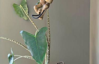 La Villa de l Observatoire jacuzzi vue mer - Foto 63