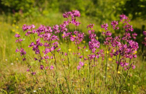 Trójmiasto nad jeziorem DOM -ECHOCHATA - Foto 8