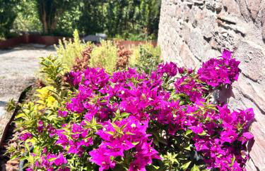 La Collina del Poeta - Photo 54