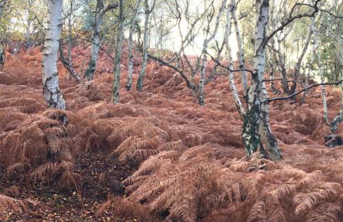 The Old Stable at Manor House, Middleton - Foto 44
