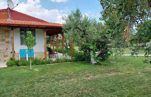 Bill & Eva's precious jewel - Photo 44