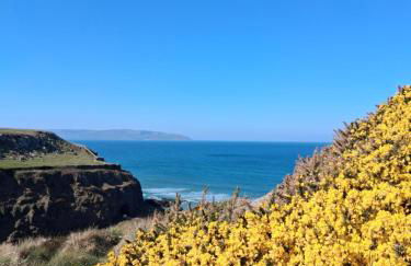 Ballymultimber Cottages - traditional cottages on the Causeway Coast - Foto 48