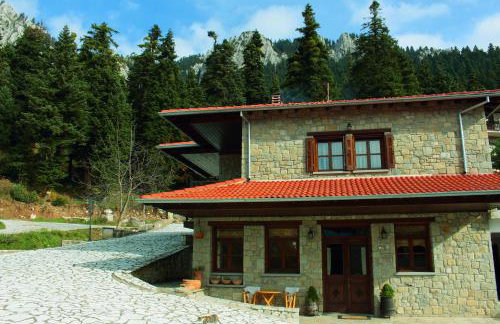 Τα Πέτρινα της Ελάτης - Petrina Elatis - Foto 54