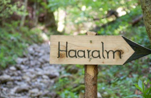 Almbauernhof - Foto 29