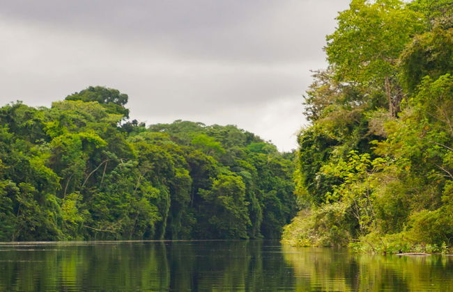 Tour di 3 o 4 giorni a Pacaya Samiria - Foto 3