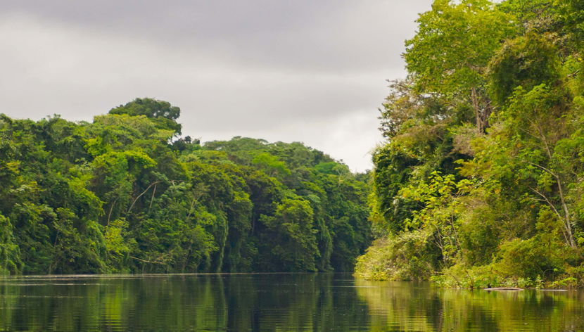 Pacaya Samiria 3 or 4-Day Tour - Foto 3
