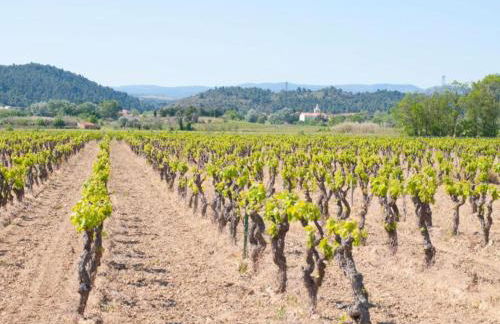 Stylish Villa in Sainte-valiere - Foto 80