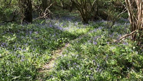 1 Bedroom Apartment Sleeps 2 - Pets Welcome - Tv - Foto 4