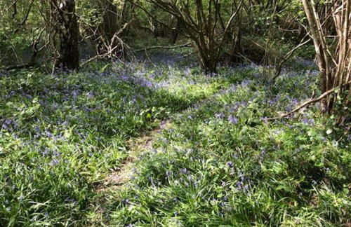 1 Bedroom Apartment Sleeps 2 - Pets Welcome - Tv - Foto 4