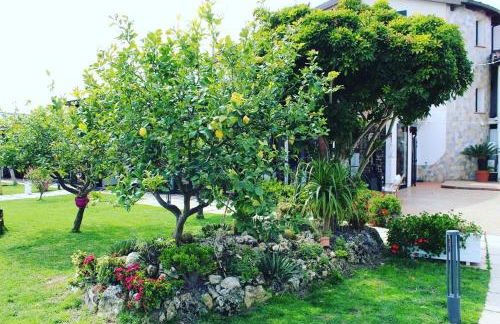 Agriturismo Manitta - Foto 15