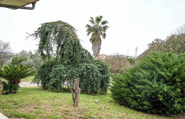 Nel verde, a mezz'ora dal centro di Roma - Photo 40