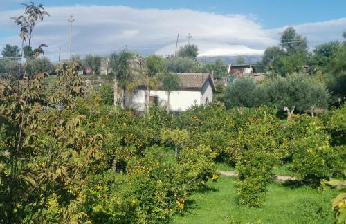 La Fattoria Dei Nonni - Foto 44