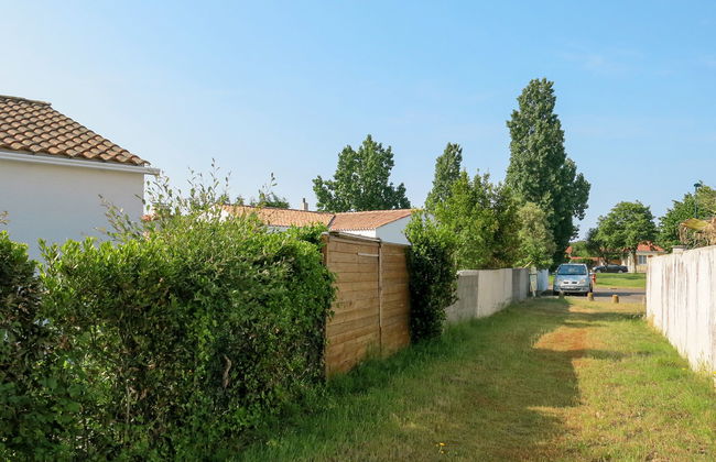 Roses Tremières - Foto 17