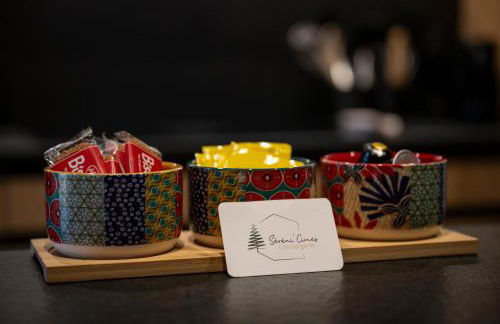 Chalet - Les Fermes de Céline - Barcelonnette - Foto 54