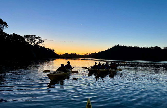 Tour del plancton bioluminescente in kayak ad Auckland - Foto 6