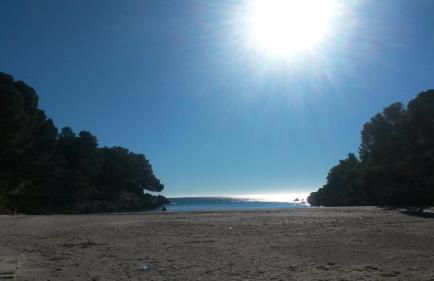 ROQUES DAURADES III - JARDIN PRIVADO - Foto 24