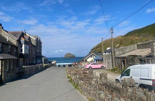 Fentrigan Manor Farm & Holiday Cottages - Foto 11