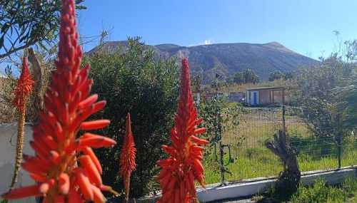 Garden & Sea - Foto 5