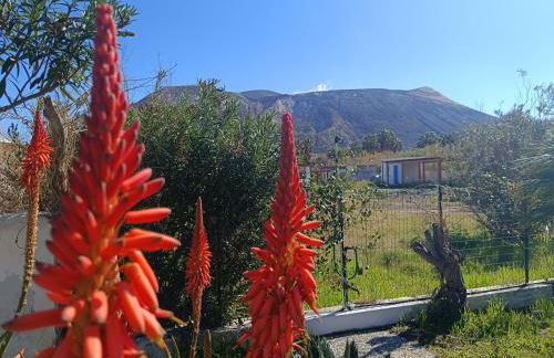 Garden & Sea - Foto 5