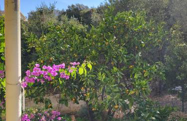 Apartment Lucky Star - 2 Bedroom, Sea View, Large Balcony, Free Parking, BBQ - Foto 40