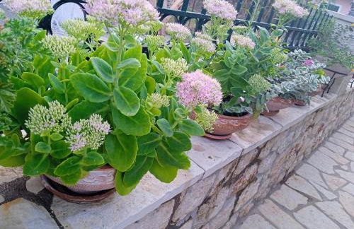 La casa di Bella a tradional stone house with barbecue - Photo 64