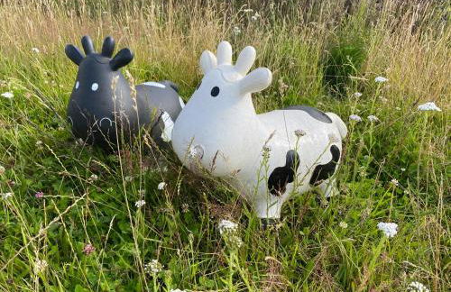 Rew Farm Country and Equestrian Accommodation - Sunset Lodge - Photo 45