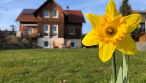 Ferienwohnung Werrablick Hedemünden - Gartenbenutzung mit Grill - WLAN - Foto 4