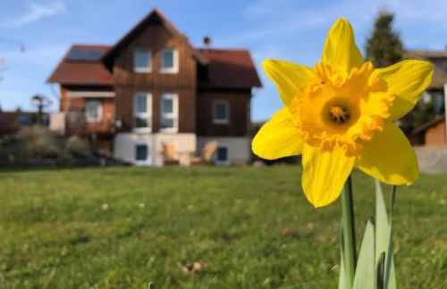 Ferienwohnung Werrablick Hedemünden - Gartenbenutzung mit Grill - WLAN - Foto 4