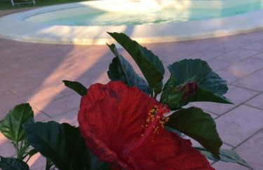 Le Coccole Del Trasimeno - Foto 63