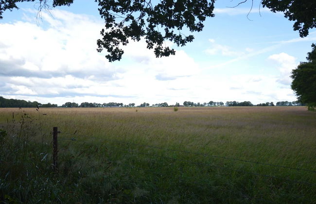 Holiday Home in Lemele Near Nature Reserve - Foto 31