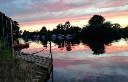 Rosehips at Kerensa, Naburn - Foto 17