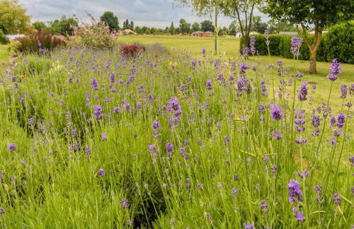 Modern holiday home in Aquitaine - Foto 27