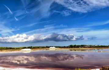 Ideal Property Mallorca - Tobalu - Foto 27