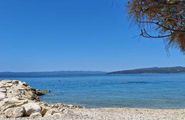 Apartman Ivić - Foto 26