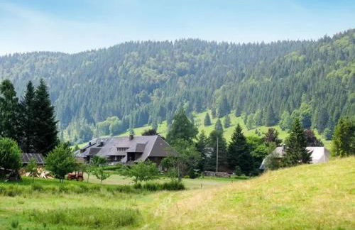 Apartment Schwinbachblick mit 2 Balkonen - Foto 10