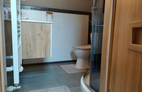 Danielówka na Szlaku Rogasiowym - Foto 13