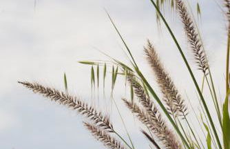 KYNARA Boutique Village - Foto 9