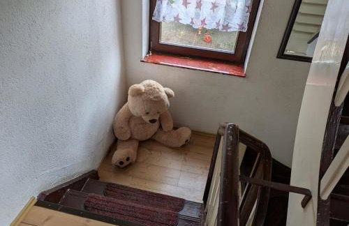 Das Dorfkind - Foto 6