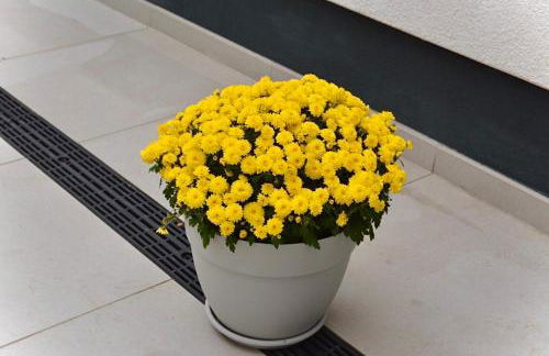 Ferienwohnung in der Grafschaft- Nähe Bonn, Ahrtal - Foto 19