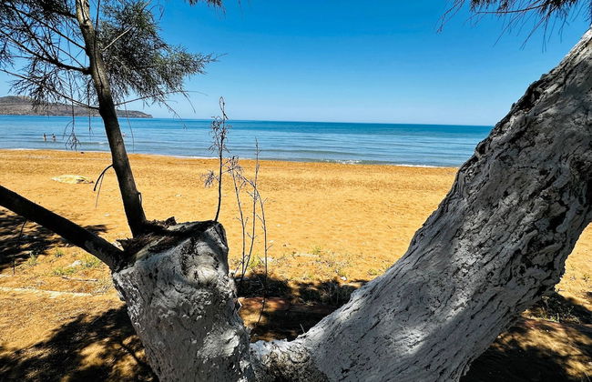 Lifeguard Beachfront - Luxury Flat, 30meters From Sea - Foto 42