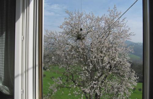 Casa Bruna Appartamenti - Foto 29