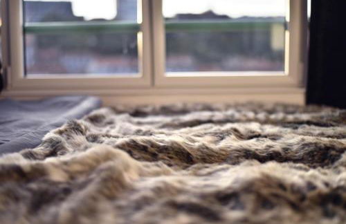 Apparts Seasons - Saint Étienne Centre - Gare Chateaucreux - Foto 24