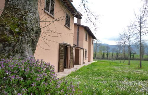 Tadinum Romana - Foto 36