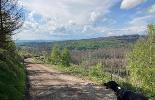 Seelenglück - Foto 22