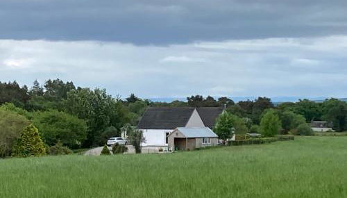 Clashmore Wood - Foto 3, pet friendly