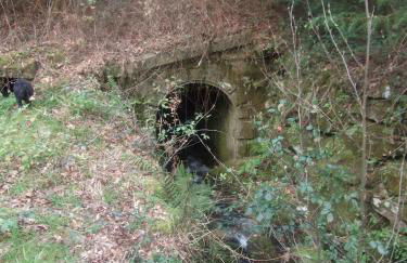 Quinta dos Caibrais - Foto 59