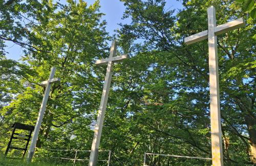 Sowie Pokoje - Foto 23