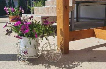 Countryside apartments ground floor - Foto 28