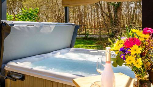 Gastes, Charmant chalet en bois avec Jacuzzi 6 pers - Foto 3