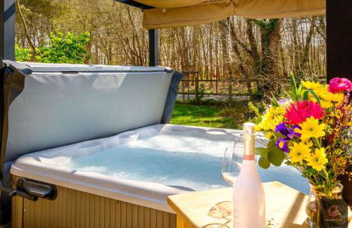 Gastes, Charmant chalet en bois avec Jacuzzi 6 pers - Foto 3